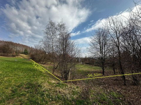 Działka budowlana 3000m2 - Krzeszowice / Żbik