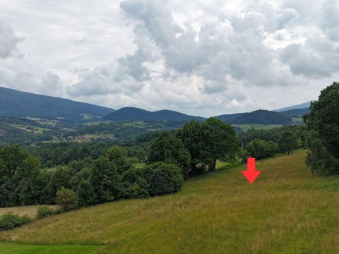 Działka Budowlana z widokiem na Beskid, Przenosza