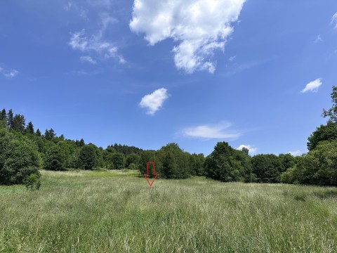 Działka, Kasina Wielka 3400 m2 - Rolna Siedliskowa