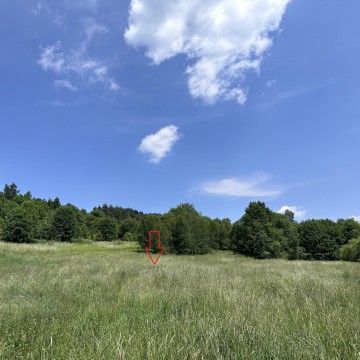 Działka, Kasina Wielka 3400 m2 - Rolna Siedliskowa