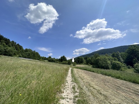 Działka, Kasina Wielka 6750 m2 - Rolna Siedliskowa